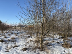 �������� ������ �� ���������� ���� 4