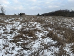 Продаж ділянки в Селищах фото 8 Продаж ділянки в Селищах фото 8