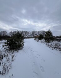 Продаж земельної ділянки під житлову забудову на 7-й пров. Леонида Каденюка фото 4 Продаж земельної ділянки під житлову забудову на 7-й пров. Леонида Каденюка фото 4