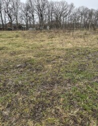 ������ �������� ������ �� ������� �������� ���� 7