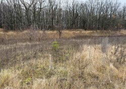 ������ �������� ������ �� ������� �������� ���� 3