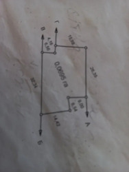 ������ �������� ������ ���� 10