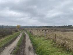 Продаж земельної ділянки в селі Селище фото 1 Продаж земельної ділянки в селі Селище фото 1