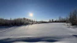 🌿 ������ �������� ������ 10 ����� ������� � �������� ���� ��� ����� �� ����������! ���� 13