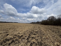 ������ �������� ������ ��������������������� ����������� ���� 4