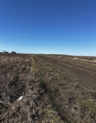 ������ �������� ������ �� ������� �������� ���� 15