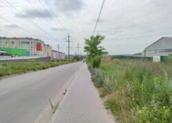 ������ �������� ������ ������������ ����������� �� ����������� ����, ����� 24 ����� ���� 11