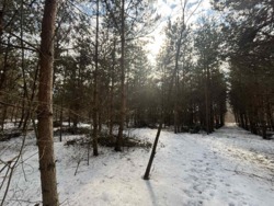 ������ �������� ������ ������ 4 ������� ��������������������� ����������� � ������� ������� ���� � �������� ���� 7