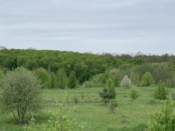 ĳ 56      16