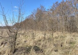 ������ �������� ������ �� ������� �������� �� ���� �������, ����� 1.4 �� ���� 8