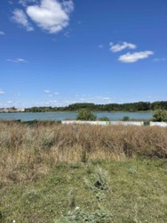 Ділянка вихід до ставка . фото 8 Ділянка вихід до ставка . фото 8