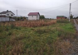 ������ �������� ������ �� ������� �������� ���� 7