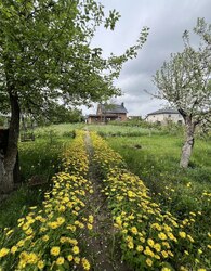 Продаж земельної ділянки сільськогосподарського призначення, на вул. Виноградна фото 3 Продаж земельної ділянки сільськогосподарського призначення, на вул. Виноградна фото 3