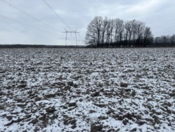 ������ ������ � ���������� ���� 9