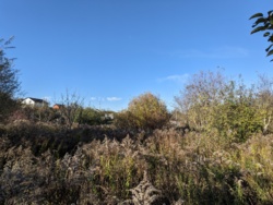 🏞    6     '' 🌿  11