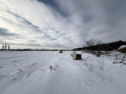 ������ ������ �� ������� �������� �.������� ���� 7