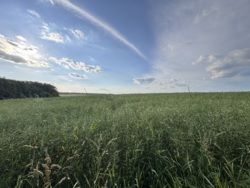 Продаж паю в Березині фото 8 Продаж паю в Березині фото 8