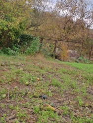 Терміновий продаж фото 3 Терміновий продаж фото 3