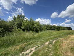 🌿 Продаж земельної ділянки 53 сотки | с. Лукашівка фото 19 🌿 Продаж земельної ділянки 53 сотки | с. Лукашівка фото 19