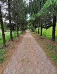 ��������� ������ ³�������, ³�����, ����������, ����'����, ������� ���� 4