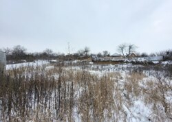 ������ �������� ������ � �������� ���� 5