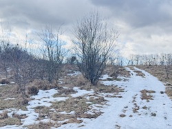 ĳ����� �������� ���� 7