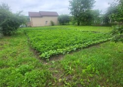 Продаж земельної ділянки під житлову забудову фото 5 Продаж земельної ділянки під житлову забудову фото 5