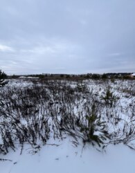 Продаж земельної ділянки під житлову забудову на 7-й пров. Леонида Каденюка фото 8 Продаж земельної ділянки під житлову забудову на 7-й пров. Леонида Каденюка фото 8