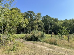 ĳ����� �������� ���� 1