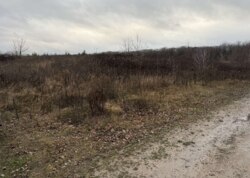 ������ �������� ������ �� ������� �������� ���� 4