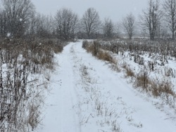 ������ ������ � ��������� ���� 8