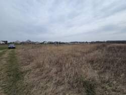 ������ ������ ��� ��� ���� 6