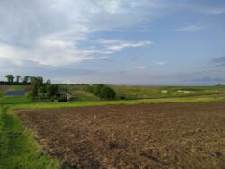 Продається ділянка Тернопільська, Тернопільський, Байківці фото 1 Продається ділянка Тернопільська, Тернопільський, Байківці фото 1