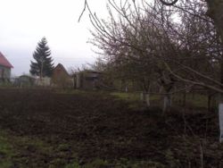 Продається ділянка Тернопільська, Тернопільський, Підгороднє, Діброва фото 3 Продається ділянка Тернопільська, Тернопільський, Підгороднє, Діброва фото 3