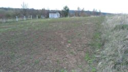 Продається ділянка Тернопільська, Тернопільський, Івачів Горішній фото 1 Продається ділянка Тернопільська, Тернопільський, Івачів Горішній фото 1