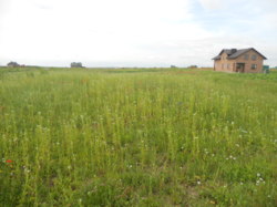 Продається ділянка Тернопільська, Тернопільський, Біла фото 1 Продається ділянка Тернопільська, Тернопільський, Біла фото 1