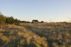 Продається ділянка Тернопільська, Тернопільський, Великі Бірки, Володимира Великого бічна фото 2 Продається ділянка Тернопільська, Тернопільський, Великі Бірки, Володимира Великого бічна фото 2