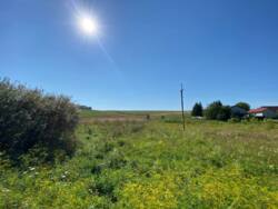 Продається ділянка Тернопільська, Тернопільський, Курники, Грушевського фото 1 Продається ділянка Тернопільська, Тернопільський, Курники, Грушевського фото 1