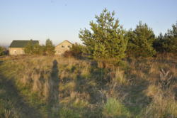 Продається ділянка Тернопільська, Тернопільський, Великі Бірки, Володимира Великого бічна фото 3 Продається ділянка Тернопільська, Тернопільський, Великі Бірки, Володимира Великого бічна фото 3