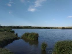 Продається ділянка Тернопільська, Тернопільський, Товстолуг фото 1 Продається ділянка Тернопільська, Тернопільський, Товстолуг фото 1