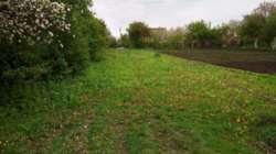 Продається ділянка Тернопільська, Тернопільський, Лозова фото 1 Продається ділянка Тернопільська, Тернопільський, Лозова фото 1