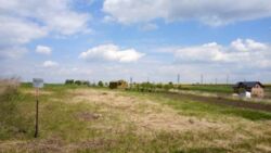 Продається ділянка Тернопільська, Тернопільський, Біла фото 6 Продається ділянка Тернопільська, Тернопільський, Біла фото 6