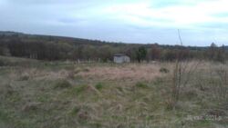 Продається ділянка Тернопільська, Тернопільський, Івачів Горішній фото 4 Продається ділянка Тернопільська, Тернопільський, Івачів Горішній фото 4