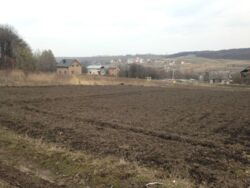 Продається ділянка Тернопільська, Тернопільський, Петриків фото 2 Продається ділянка Тернопільська, Тернопільський, Петриків фото 2