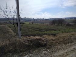 Продається ділянка Тернопільська, Збаразький, Лиски фото 3 Продається ділянка Тернопільська, Збаразький, Лиски фото 3
