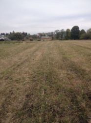 Продається ділянка Тернопільська, Козівский, Великий Ходачків фото 1 Продається ділянка Тернопільська, Козівский, Великий Ходачків фото 1