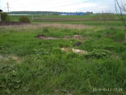 Продається ділянка Тернопільська, Тернопільський, Велика Березовиця, Миру фото 2 Продається ділянка Тернопільська, Тернопільський, Велика Березовиця, Миру фото 2