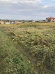 Продається ділянка Тернопільська, Тернопільський, Біла фото 1 Продається ділянка Тернопільська, Тернопільський, Біла фото 1