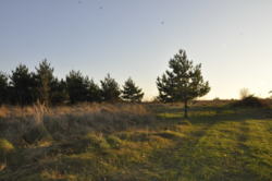 Продається ділянка Тернопільська, Тернопільський, Великі Бірки, Володимира Великого бічна фото 1 Продається ділянка Тернопільська, Тернопільський, Великі Бірки, Володимира Великого бічна фото 1