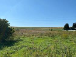 Продається ділянка Тернопільська, Тернопільський, Курники, Грушевського фото 15 Продається ділянка Тернопільська, Тернопільський, Курники, Грушевського фото 15